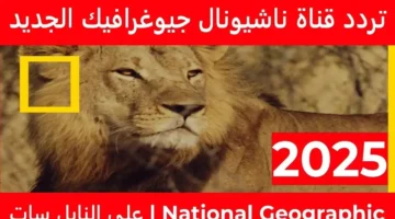شوف تردد قناة ناشيونال جيوغرافيك 2025 الجديد لمتابعة أفضل الوثائقيات بجودة عالية